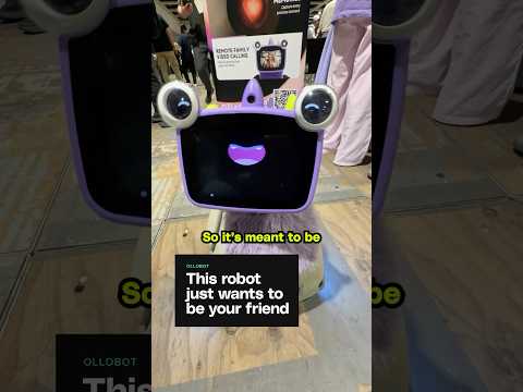 The Verge: Would you have one of these in your house?